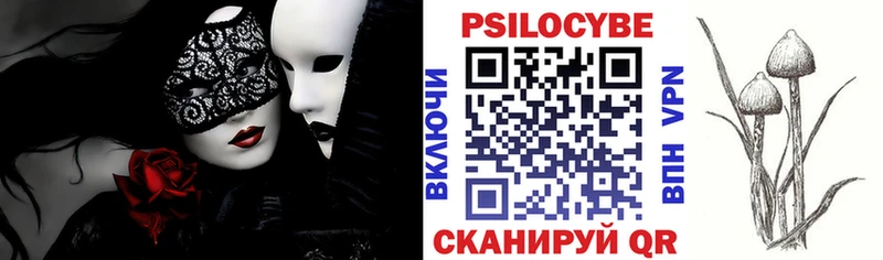 хочу   Кропоткин  Псилоцибиновые грибы Psilocybe 